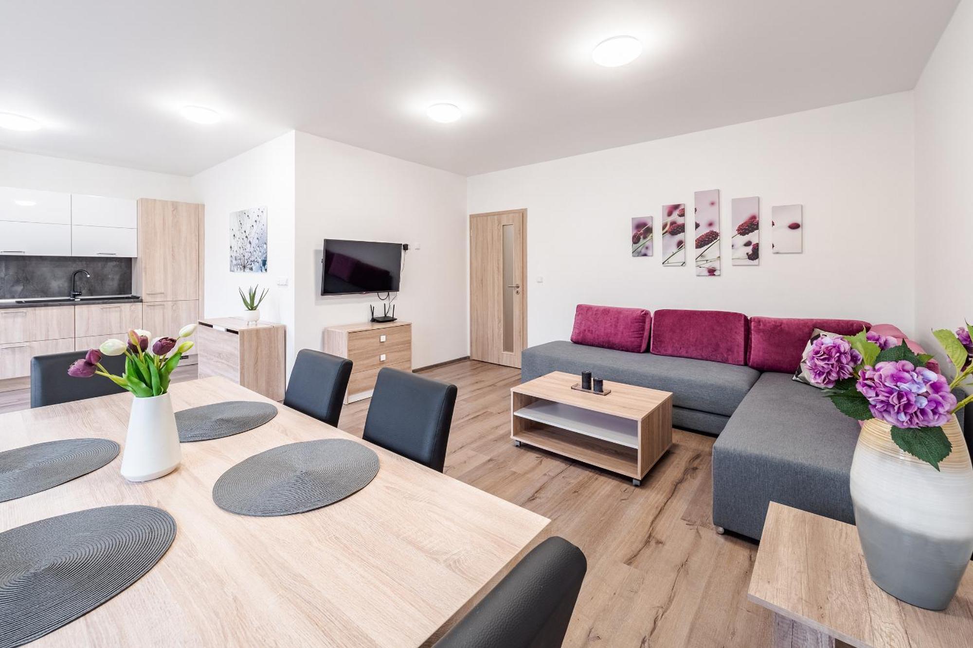 Private Luxury Apartments - Apartman G3 Frymburk Buitenkant foto